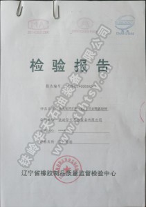 檢驗(yàn)報(bào)告
